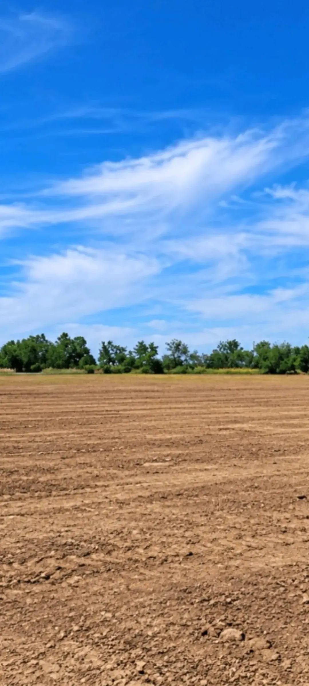 Investiciona prilika 5.5 ha zemljišta